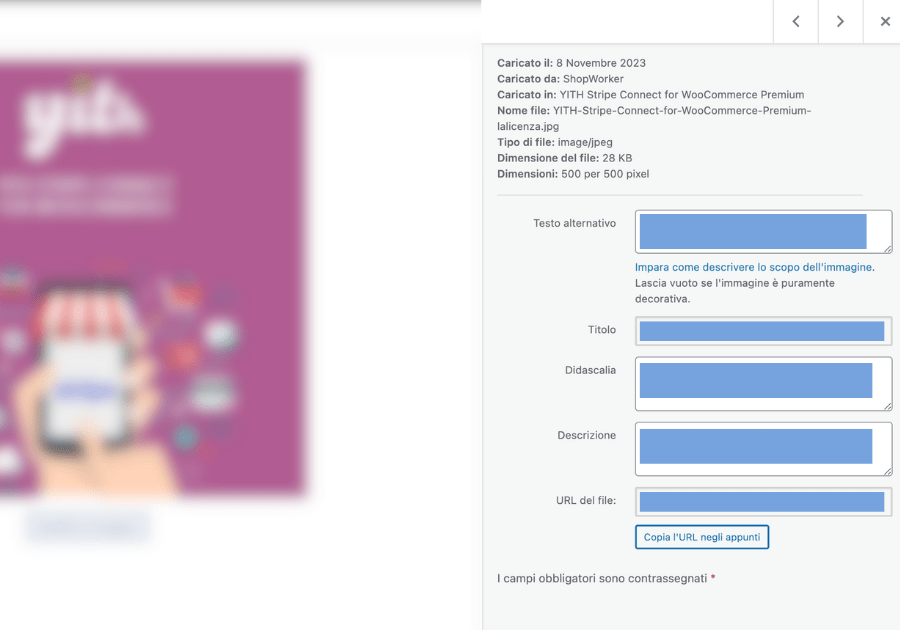 media wordpress dettagli file