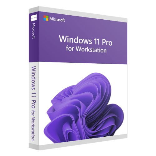 Microsoft Windows 11 Pro Workstation