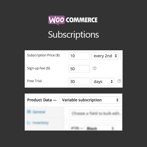 woocommerce subscriptions lalicenza